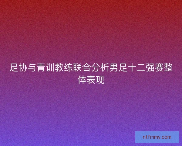 足协与青训教练联合分析男足十二强赛整体表现